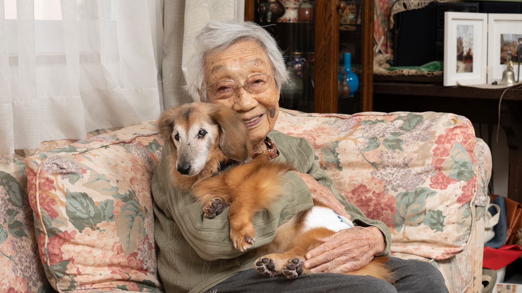 ギネス記録「存命中の最高齢の犬」に挑戦中!21歳アロハちゃんも効果を実感!